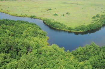 Property photo 3 - 1,025 Acres in 24 Tracts - Exellent Recreation Opportunity - Potential Building Sites - 11 Lakes & Ponds